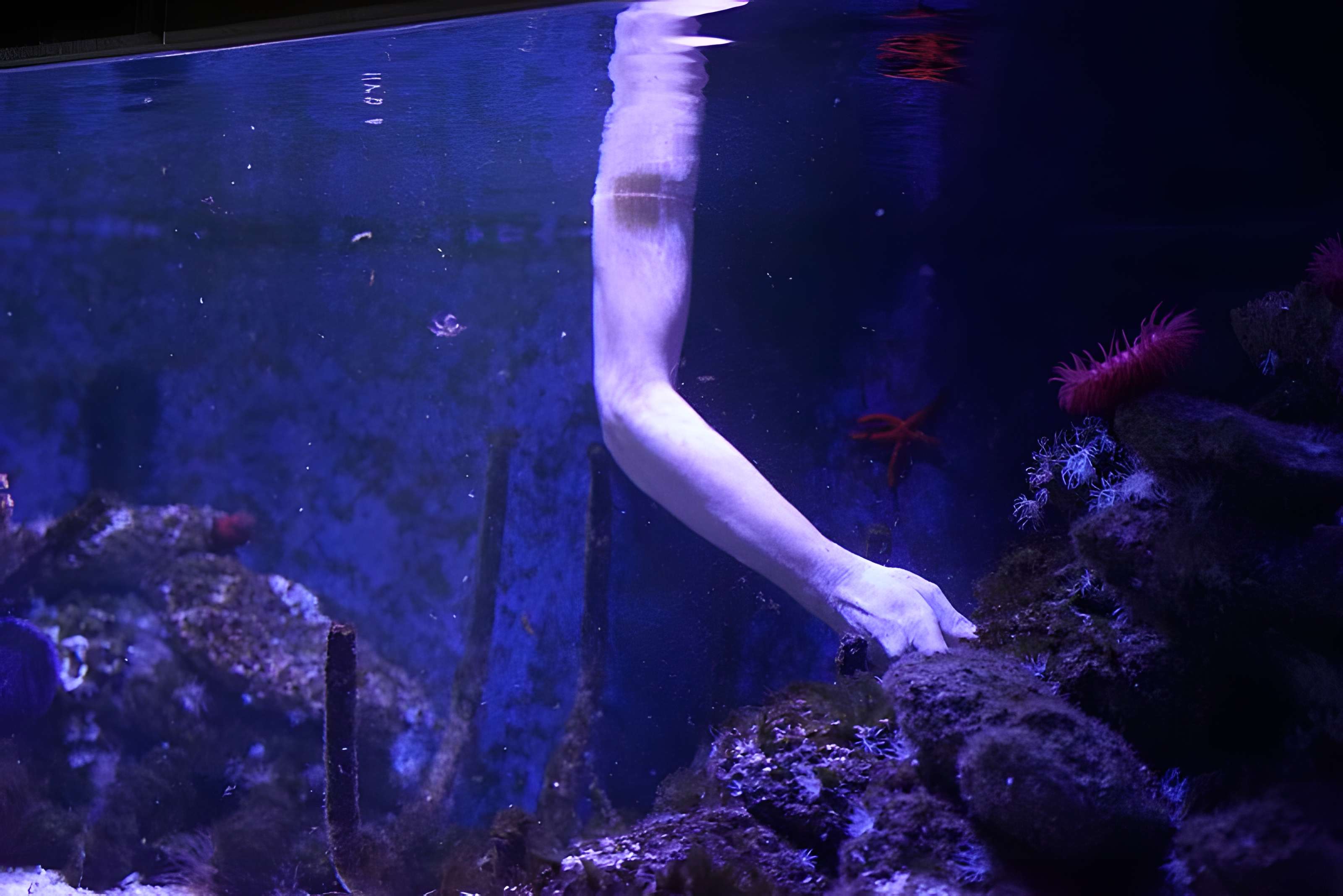 Muséum-Aquarium de Nancy