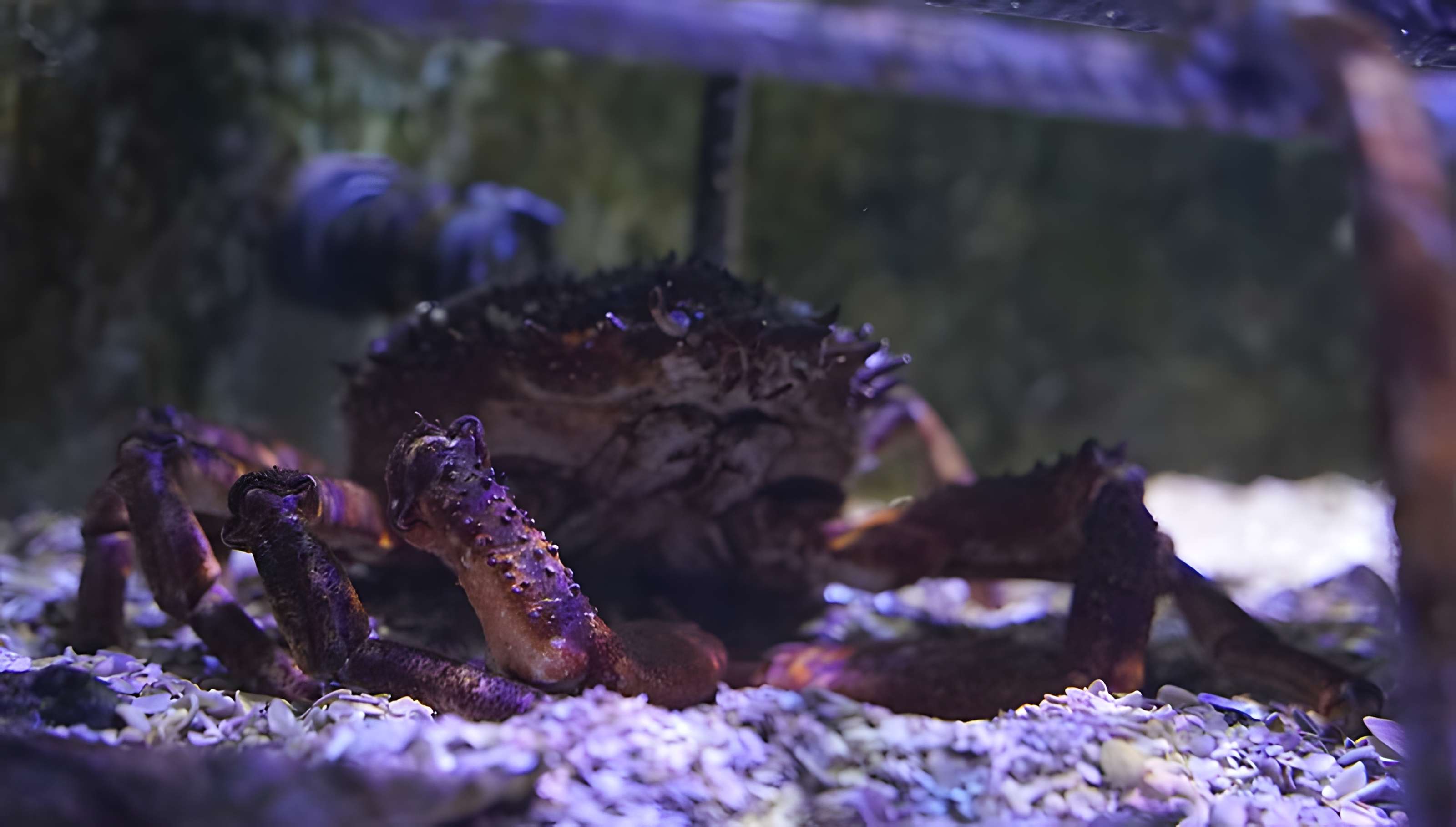 Muséum-Aquarium de Nancy