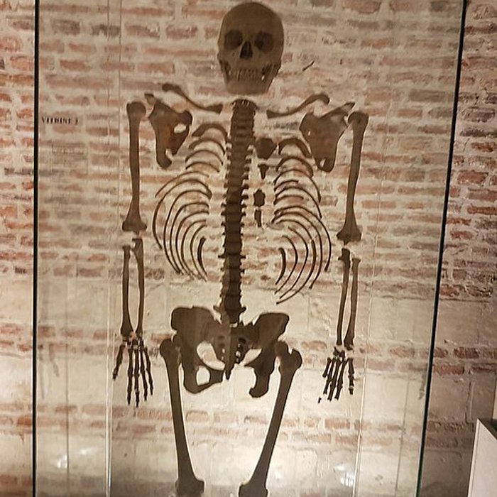 Photo de Musée de Cambrai