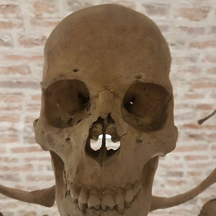 Photo de Musée de Cambrai