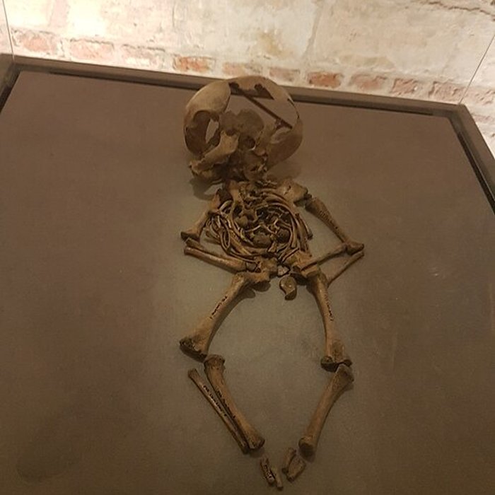 Photo de Musée de Cambrai