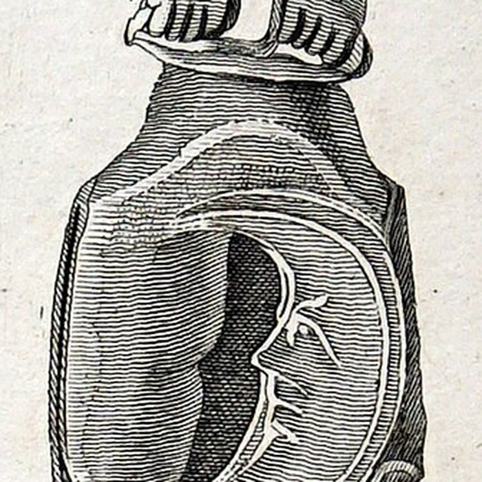 Photo de Forum antique de Bavay