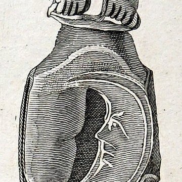 Forum antique de Bavay