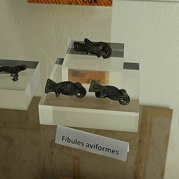 Musée darchéologie et dhistoire locale