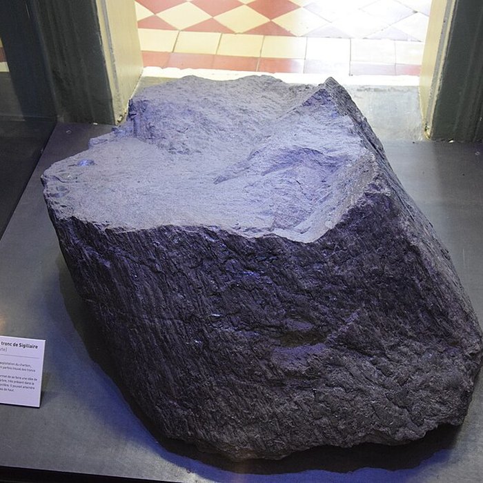 Photo de Centre historique minier, musée de la mine, centre d’archives, centre de culture scientifique de l’énergie