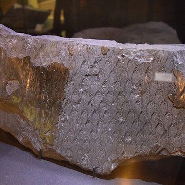 Centre historique minier, musée de la mine, centre d’archives, centre de culture scientifique de l’énergie