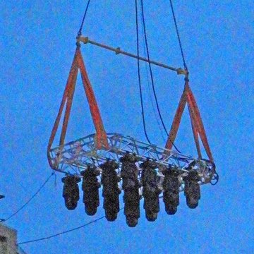 Musée des Beaux-Arts