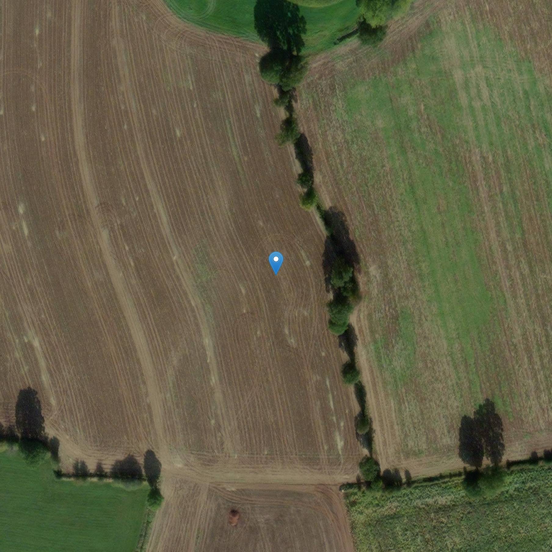 Photo de Museo del castello di Flers