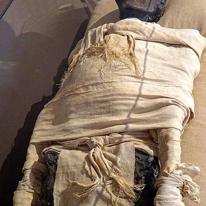 Photo de Musée de Boulogne-sur-Mer