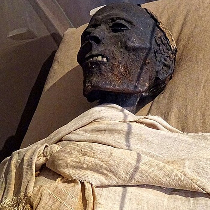 Photo de Musée de Boulogne-sur-Mer