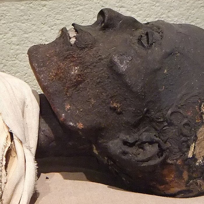 Photo de Musée de Boulogne-sur-Mer