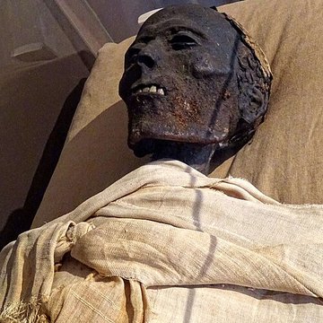 Musée de Boulogne-sur-Mer