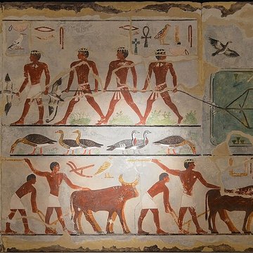 Musée de Boulogne-sur-Mer