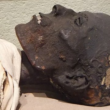 Musée de Boulogne-sur-Mer