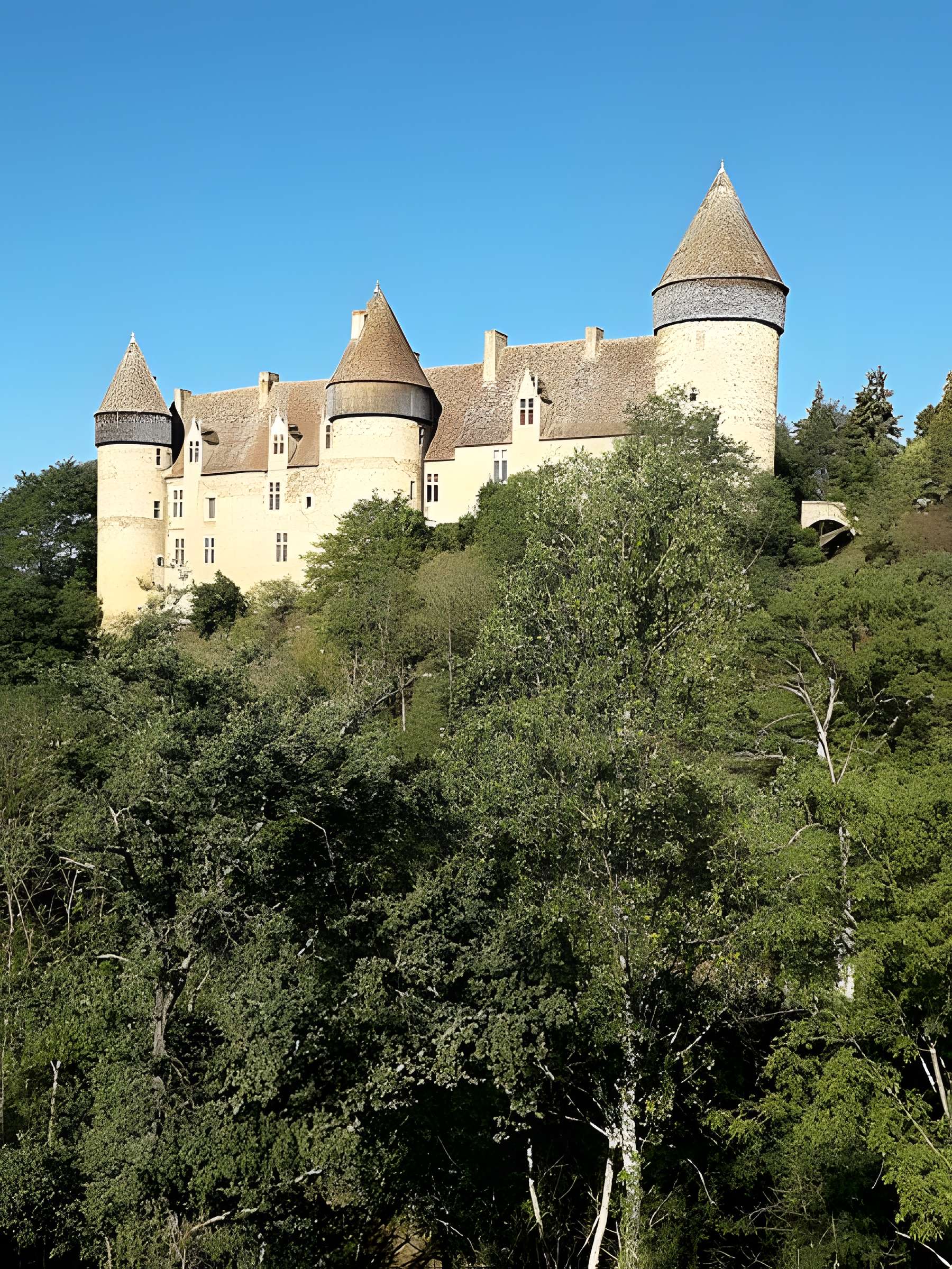 Château de Culan