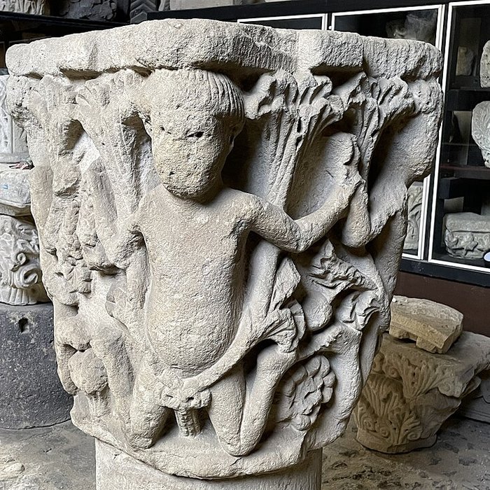 Photo de Musée Lapidaire