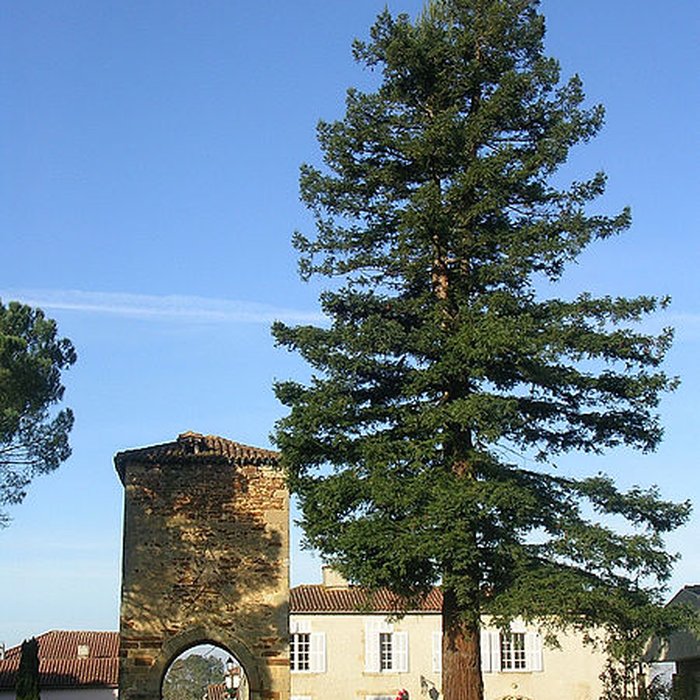 Photo de Tour de Maubourguet de Saint-Loubouer