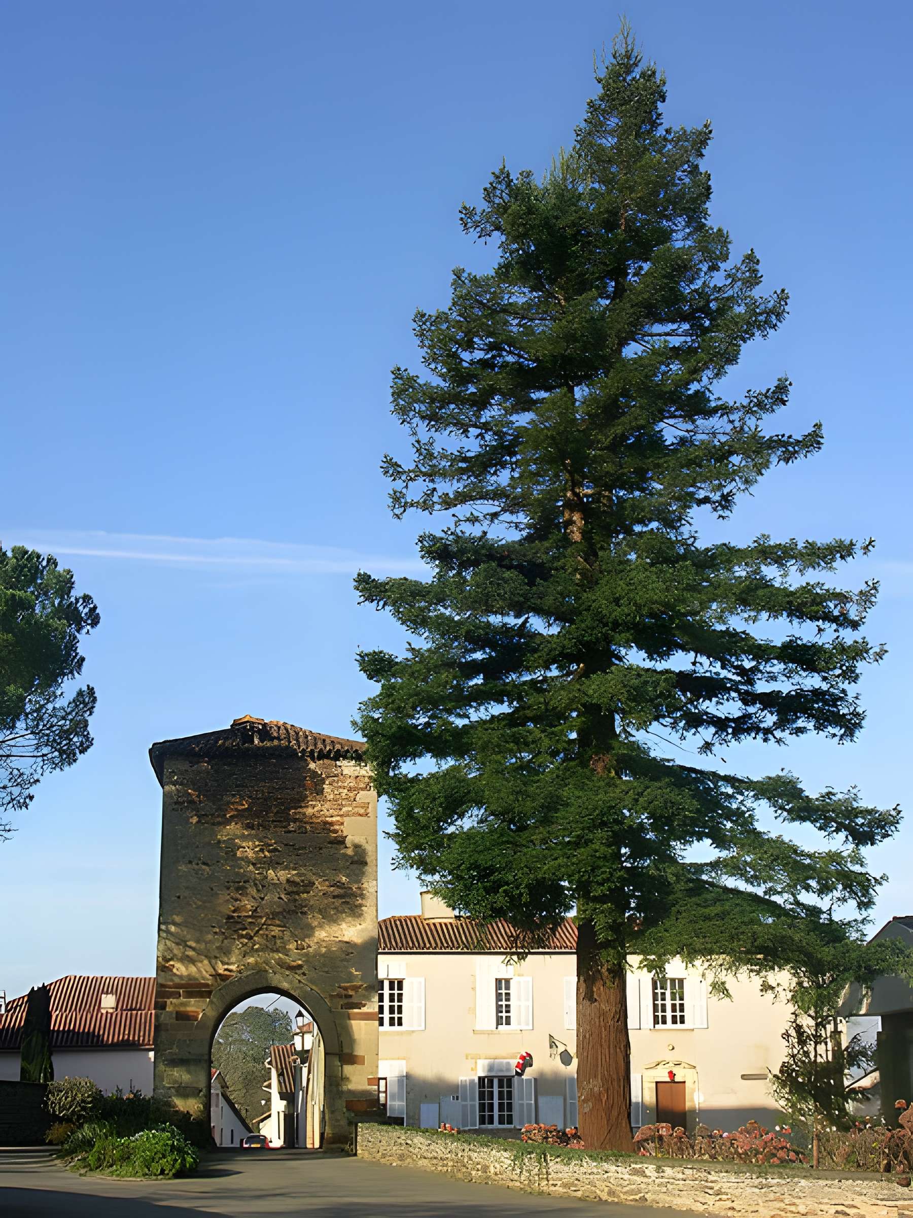Tour de Maubourguet de Saint-Loubouer
