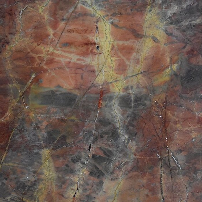 Photo de Muséum dhistoire naturelle