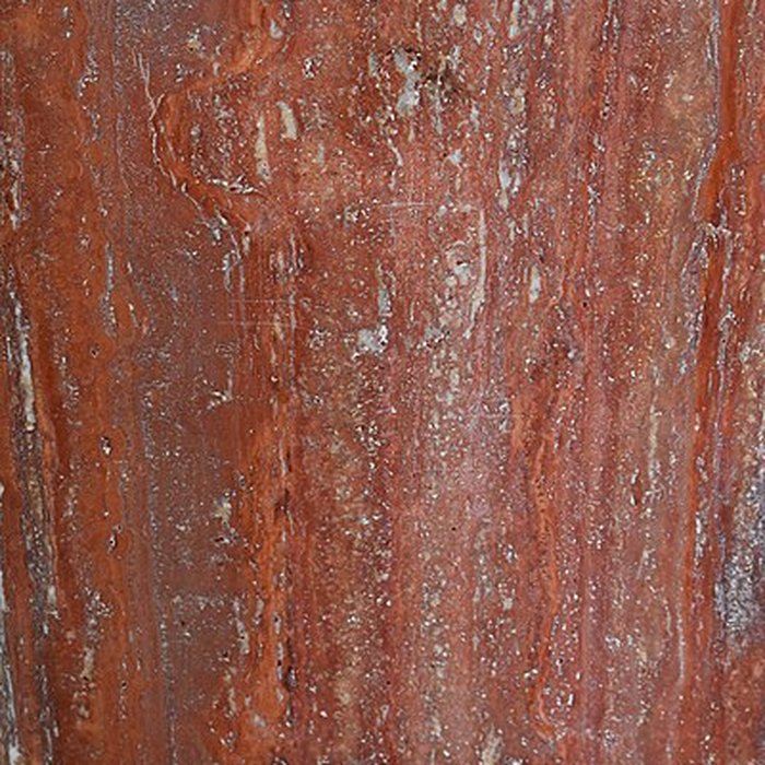 Photo de Muséum dhistoire naturelle