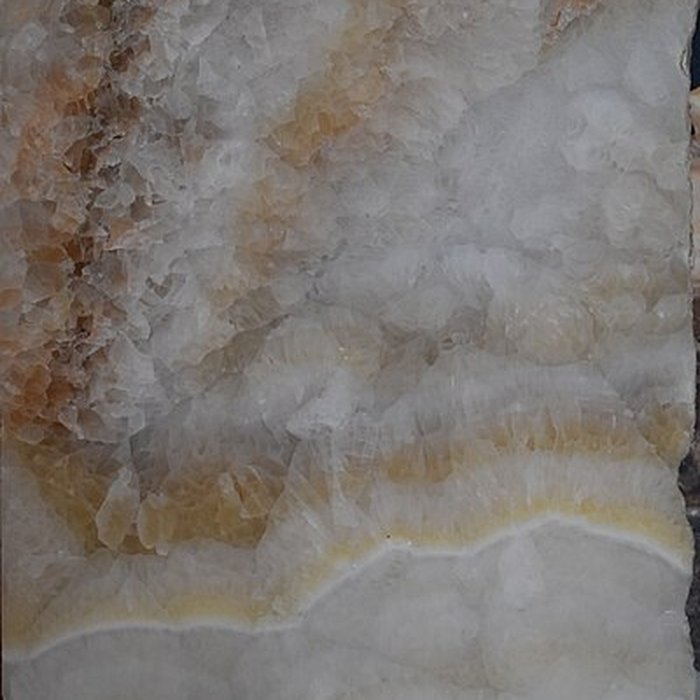 Photo de Muséum dhistoire naturelle