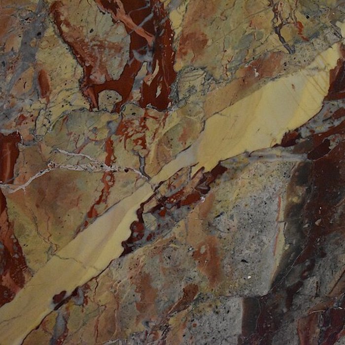 Photo de Muséum dhistoire naturelle