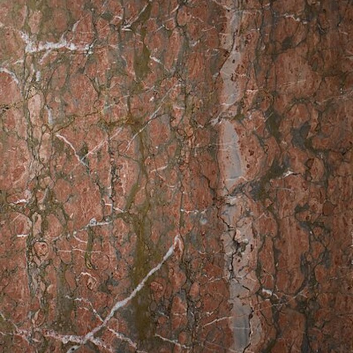 Photo de Muséum dhistoire naturelle