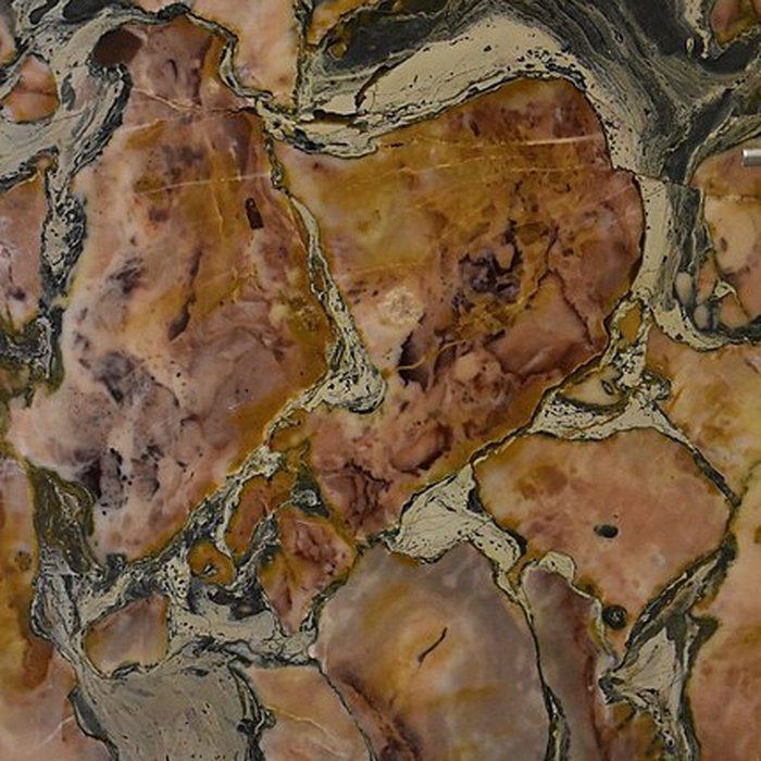 Photo de Muséum dhistoire naturelle