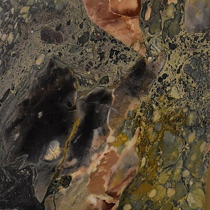 Photo de Muséum dhistoire naturelle