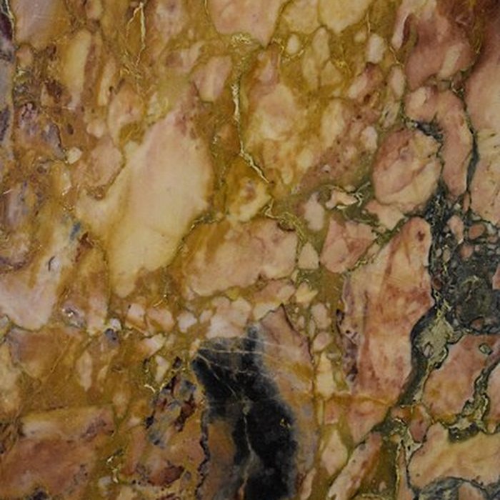 Photo de Muséum dhistoire naturelle