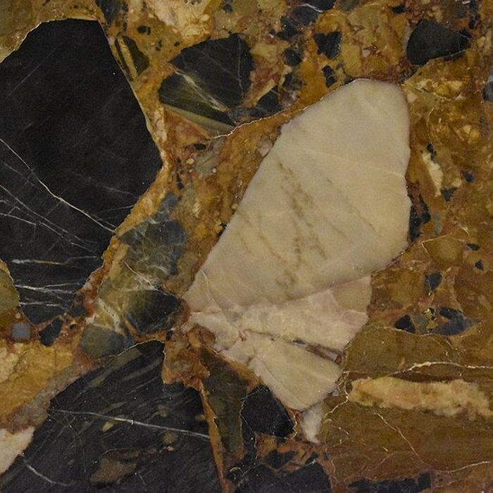 Photo de Muséum dhistoire naturelle