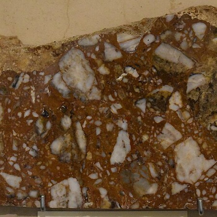 Photo de Muséum dhistoire naturelle