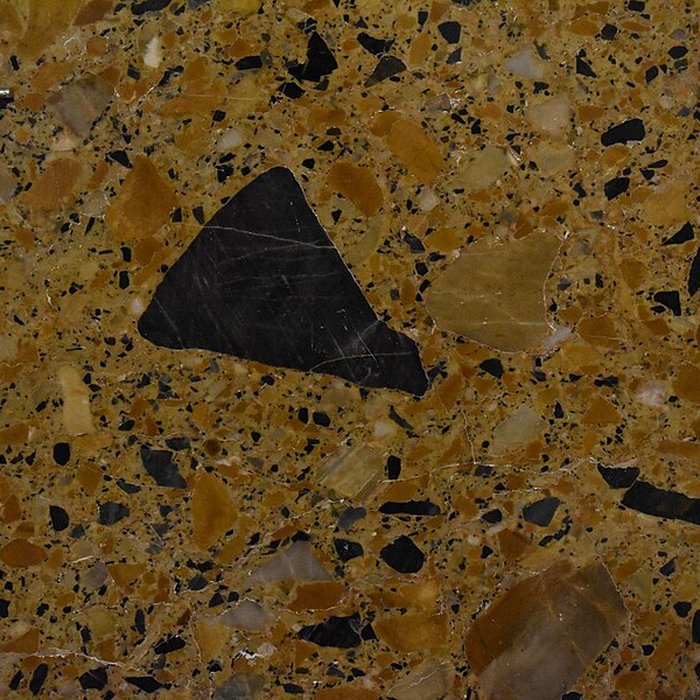 Photo de Muséum dhistoire naturelle