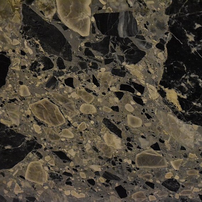 Photo de Muséum dhistoire naturelle