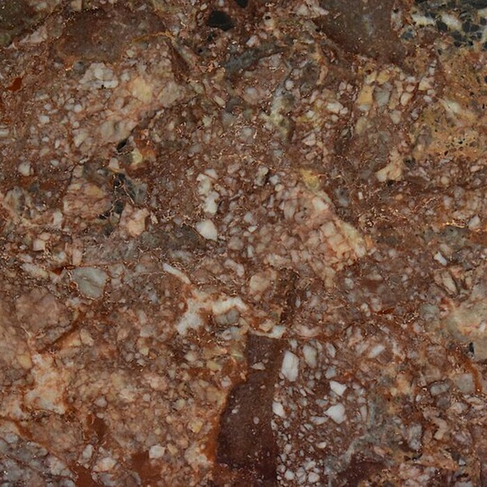 Photo de Muséum dhistoire naturelle