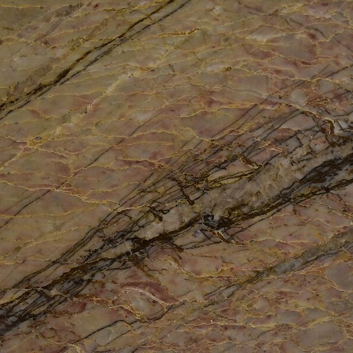 Photo de Muséum dhistoire naturelle