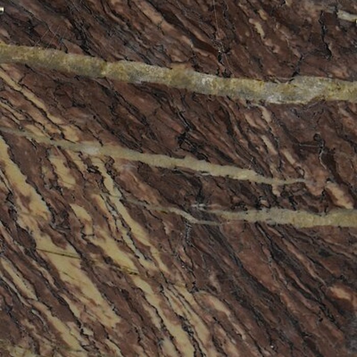 Photo de Muséum dhistoire naturelle