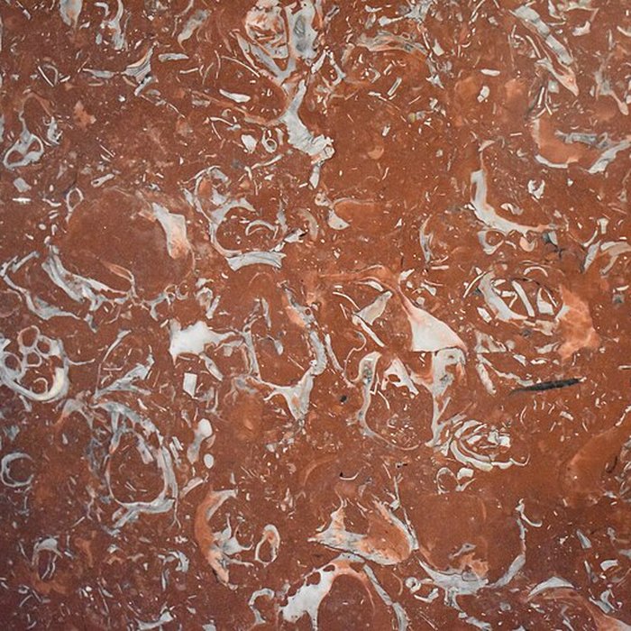 Photo de Muséum dhistoire naturelle