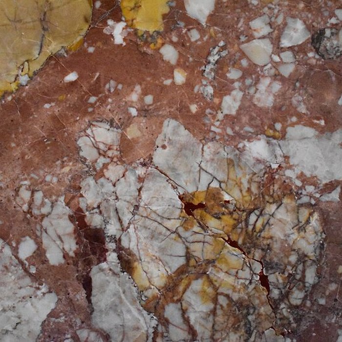 Photo de Muséum dhistoire naturelle