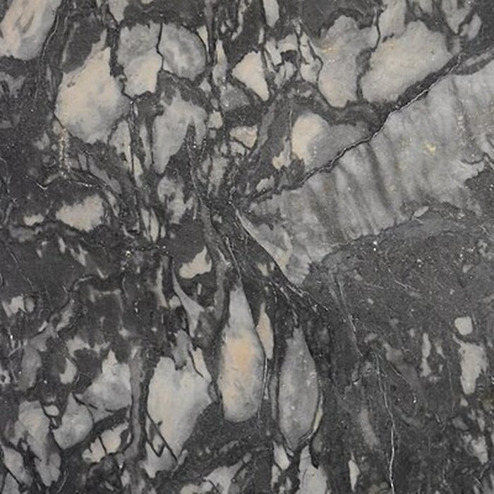 Photo de Muséum dhistoire naturelle