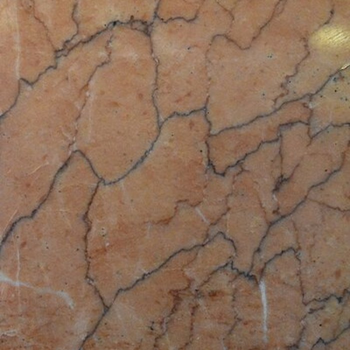 Photo de Muséum dhistoire naturelle