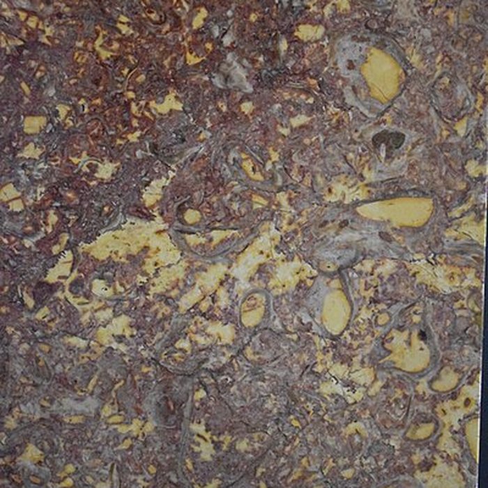 Photo de Muséum dhistoire naturelle