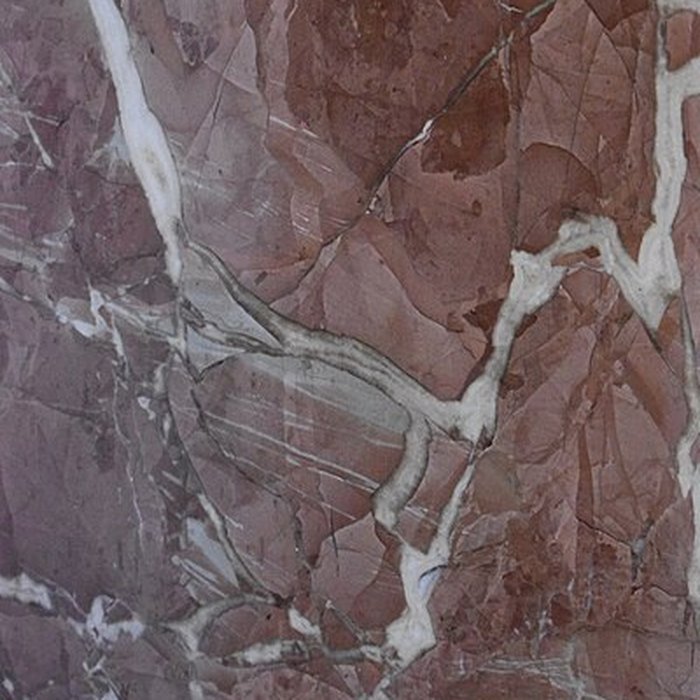 Photo de Muséum dhistoire naturelle