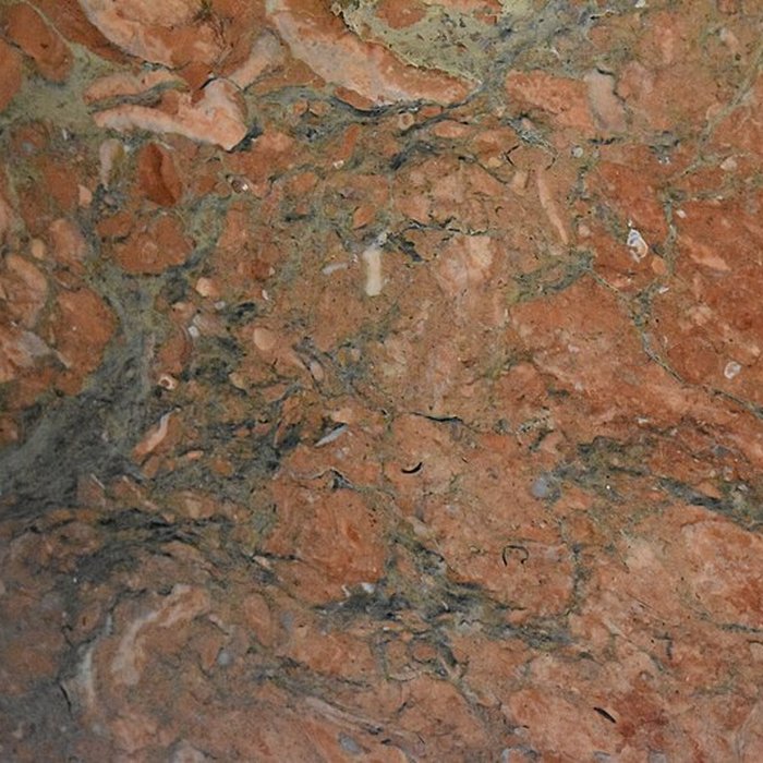 Photo de Muséum dhistoire naturelle