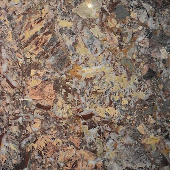 Photo de Muséum dhistoire naturelle