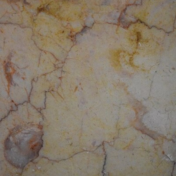 Photo de Muséum dhistoire naturelle