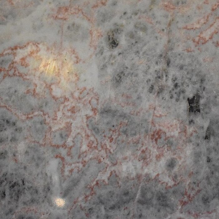 Photo de Muséum dhistoire naturelle