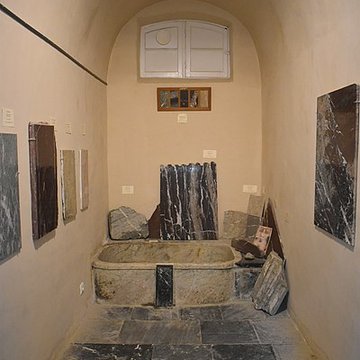 Muséum dhistoire naturelle