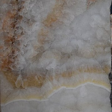 Muséum dhistoire naturelle