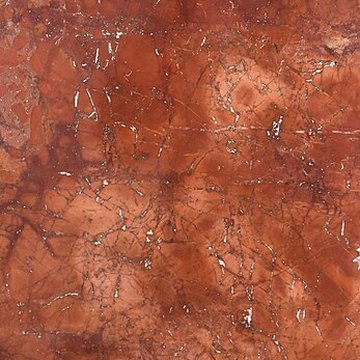 Muséum dhistoire naturelle